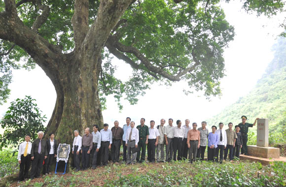 30[-]NĂM[-]VACNE:[-]Vinh[-]danh[-]Cây[-]Di[-]sản[-]Việt[-]Nam[-]tại[-]Hà[-]Nội,[-]Thừa[-]Thiên[-]-[-]Huế,[-]Hải[-]Dương,[-]Hải[-]Phòng,[-]Cao[-]Bằng,[-]Phú[-]Thọ,[-]Hòa[-]Bình,[-]Bắc[-]Ninh,[-]Vĩnh[-]Phúc,[-]Nghệ[-]An[-]